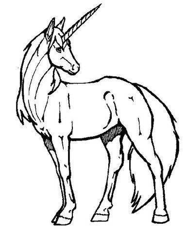 File:Unicorn.jpg