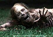 Walking Dead 1x01 001