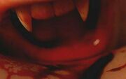 True Blood 1x07 001