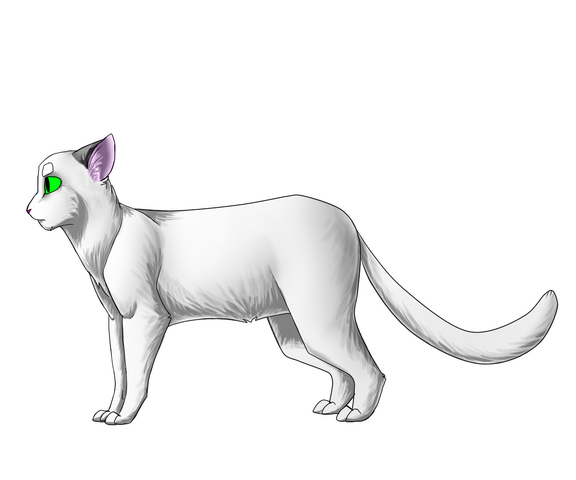 Файл:Line8864554455446657.png