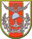 Turkish armed forces insignia