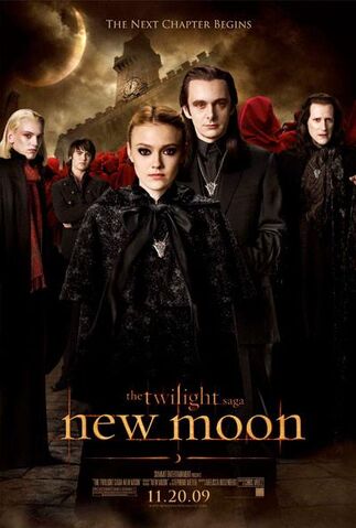 File:New Moon1103.jpg