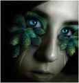 Thumbnail for version as of 14:34, October 23, 2011