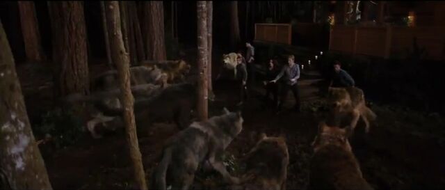 File:Sam attack.jpg