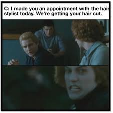 File:HaircutJasper.jpeg