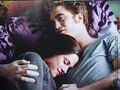 Thumbnail for version as of 01:31, January 16, 2011