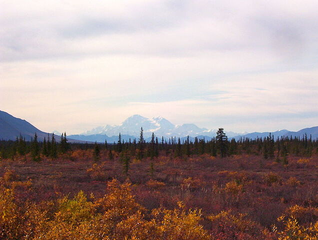 File:Denali1.jpg