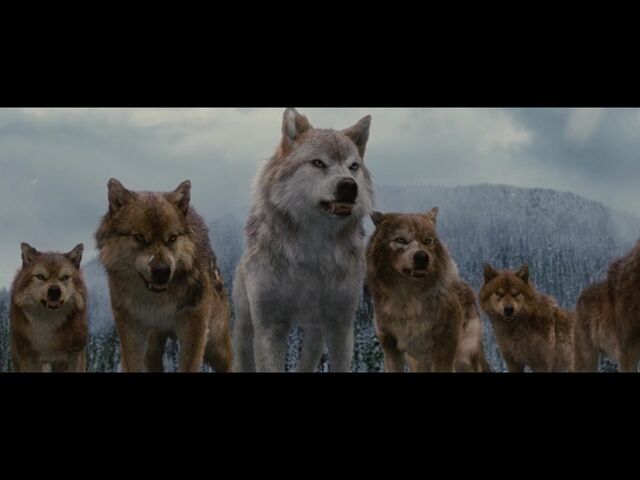 File:Leah and the rest of Black Pack.jpg
