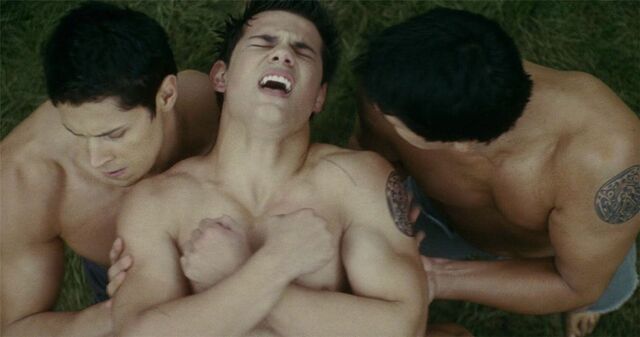 File:Alex-meraz-chaske-spencer-eclipse-hurt-jacob-black-paul-Favim.com-107540.jpg