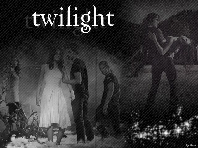 File:Wallpaper-Twilight-twilight-series-1820864-1024-768.jpg