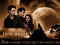 Thumbnail for version as of 18:17, December 24, 2010