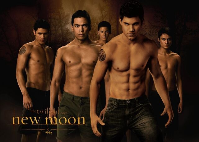 File:New-moon-wolf-pack-wallpaper-jacob-black-1024x730.jpg