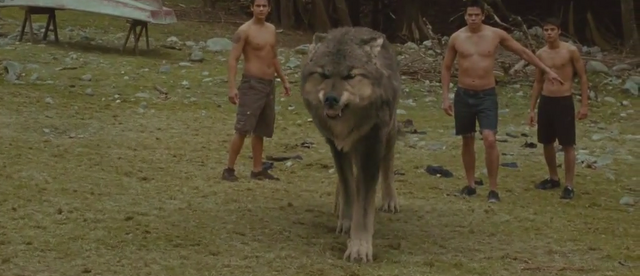 File:Cool Paul Wolf-Form.png