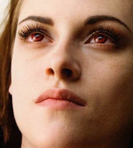File:Breakingdawnpart2.jpg