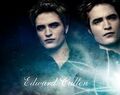 Thumbnail for version as of 03:10, January 25, 2011
