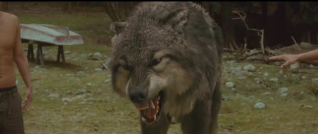 File:Paul Growling WolfForm.png