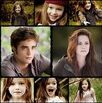 Twifam3