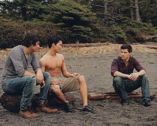 File:BDWolfPack.png