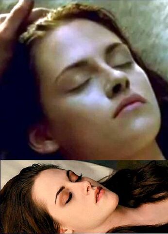 File:Bella Snow WHite.jpg