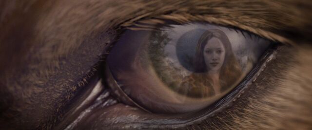 File:BreakingDawnPt1-3822.jpg
