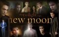 Thumbnail for version as of 20:33, November 6, 2010