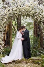 250px-Breakingdawnwedding.jpg
