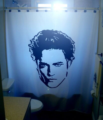 File:Twilight shower curtain.jpg
