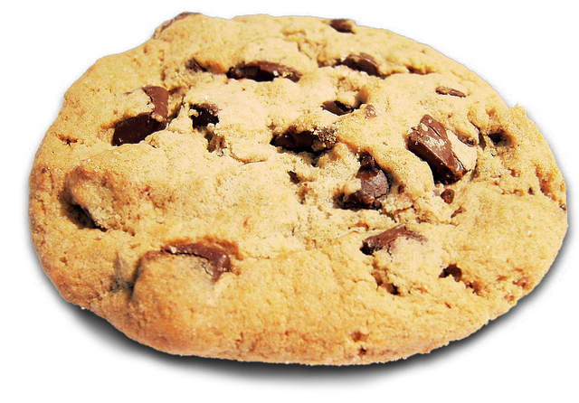 File:Cookie.png