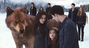 Normal Breakingdawn2 stillsmovie-1002.png