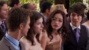 250px--0Breaking Danw-wedding-humans