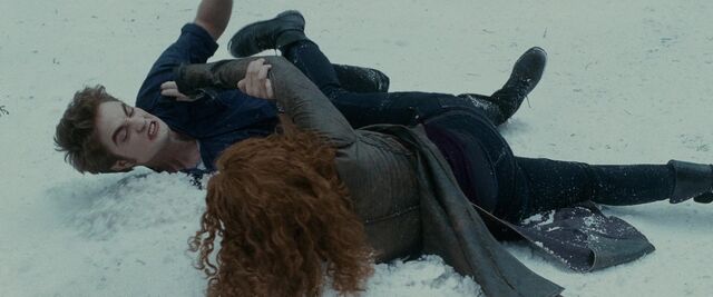 File:Edward-victoria-fight.jpg