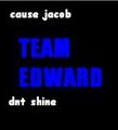Thumbnail for version as of 22:16, April 10, 2011