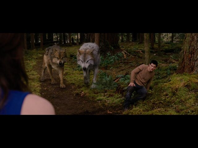 File:Seth & Leah bd2.jpg
