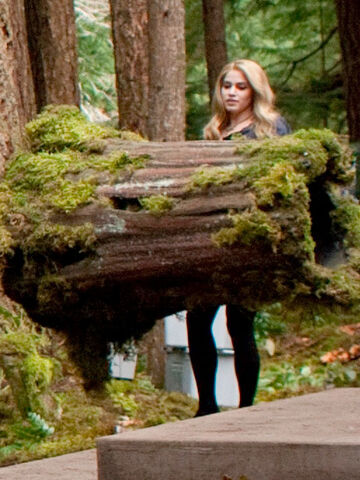 File:Rosalie-tree-log-breaking-dawn.jpg