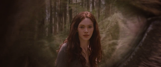 File:Cap00378.png