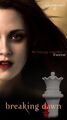 Thumbnail for version as of 00:30, January 18, 2011