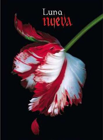 File:Luna nueva2.jpg