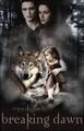 Thumbnail for version as of 01:01, January 6, 2011