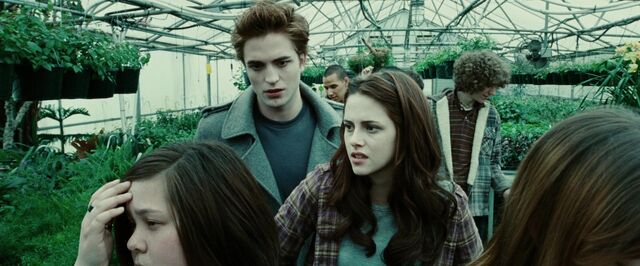 File:Twilight04.jpg