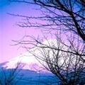Thumbnail for version as of 23:48, March 5, 2012