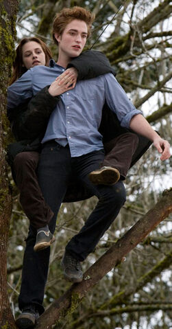 File:Edward Tree.jpg