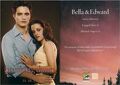 Thumbnail for version as of 13:51, August 3, 2011