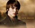 Thumbnail for version as of 00:26, July 18, 2010