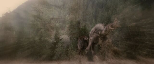 File:BreakingDawnPt1-3823.jpg