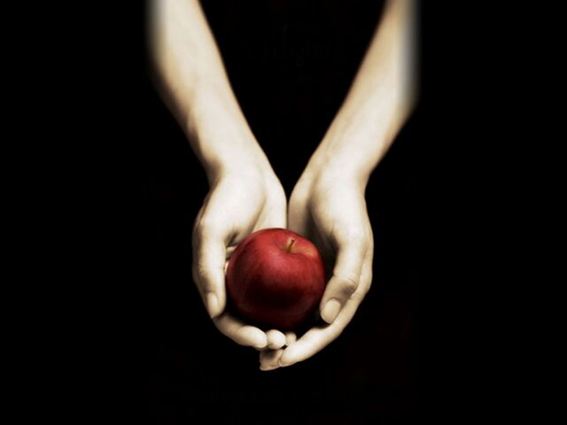 File:Wallpaper-bookcovers-twilight.jpg