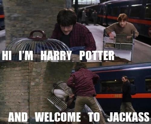 File:Harry-potter-funny-8.jpg