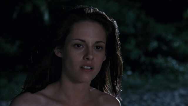 File:Pll1591.jpg