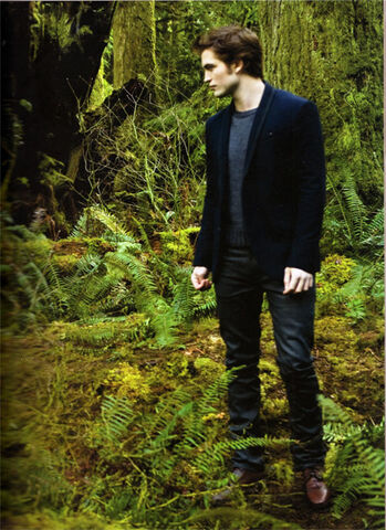 File:Copy (2) of new-moon-movie-pictures-504.jpg