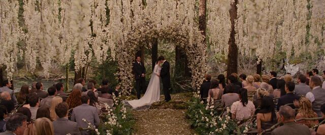 File:BreakingDawnPt1-0664.jpg