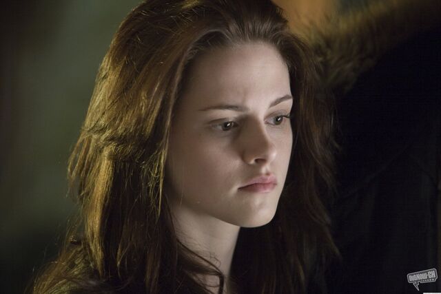 File:T- Bella (3).jpg